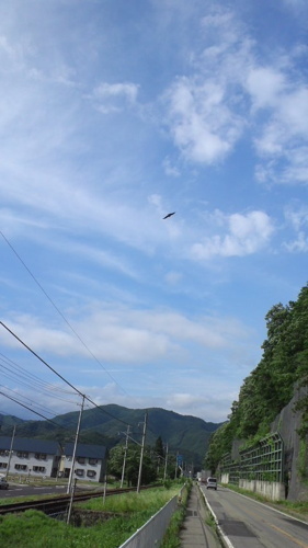 2016-07-19-02.jpg