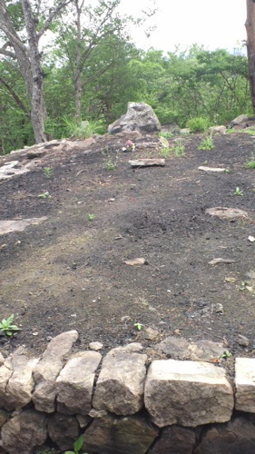 2016-07-22-08.jpg