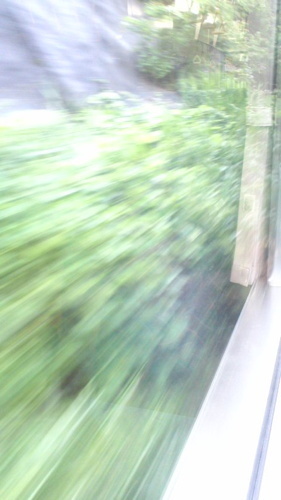 2016-07-26-16.jpg