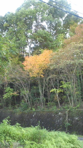 2016-11-20-02.jpg