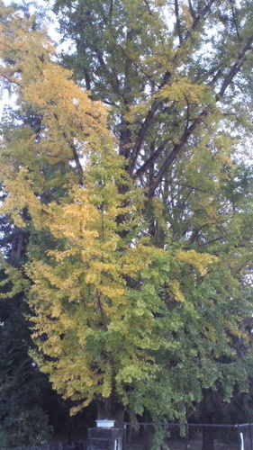 2016-11-20-04.jpg