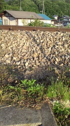 2016-07-08-30.jpg