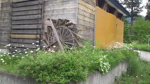 2016-07-16-16.jpg