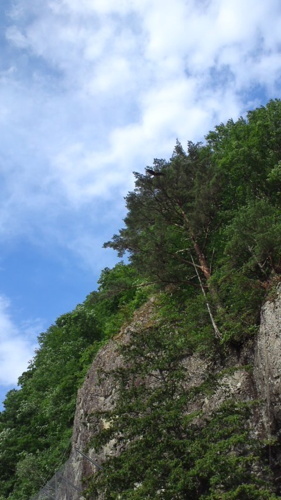 2016-07-19-01.jpg