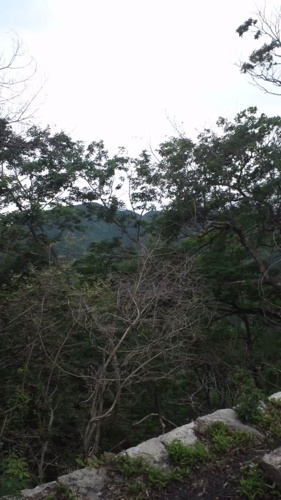 2016-07-22-11.jpg