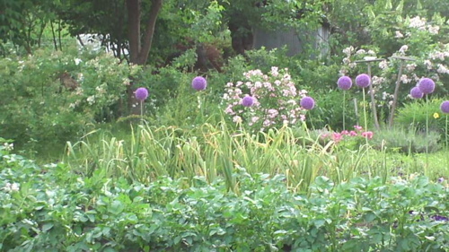 2016-07-22-19.jpg