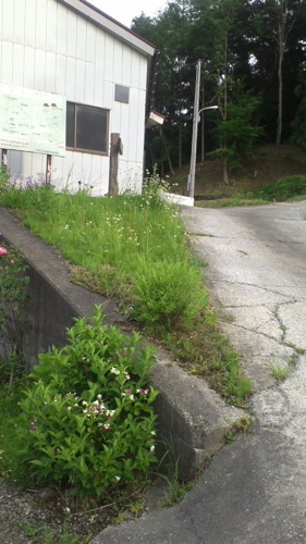 2016-07-22-20.jpg
