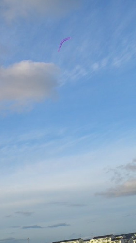 2016-11-27-03.jpg