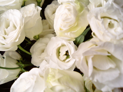 2014-11-18-01.jpg